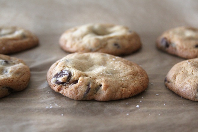 chocolate chip cookie 1